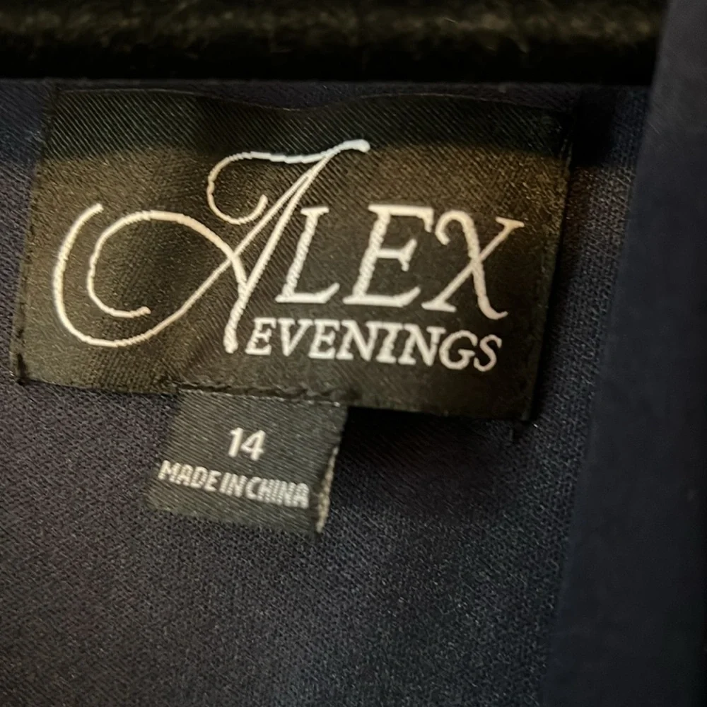Alex Evenings Ballgown - Picture 13 of 14